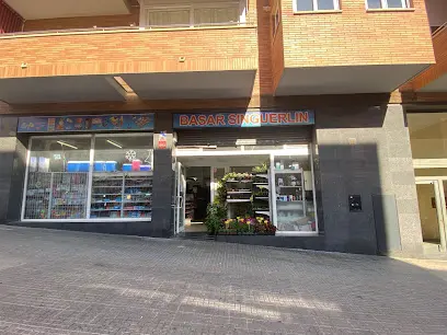 basar siguerlin