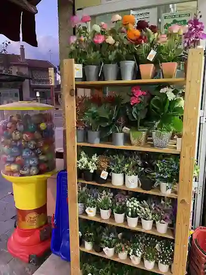 bazar estilo chinoaa