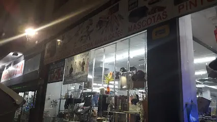 megazubia