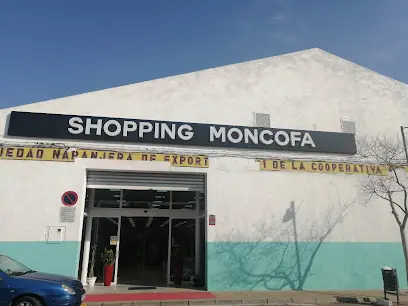 shopin