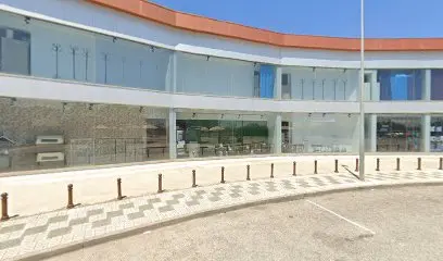 ansa